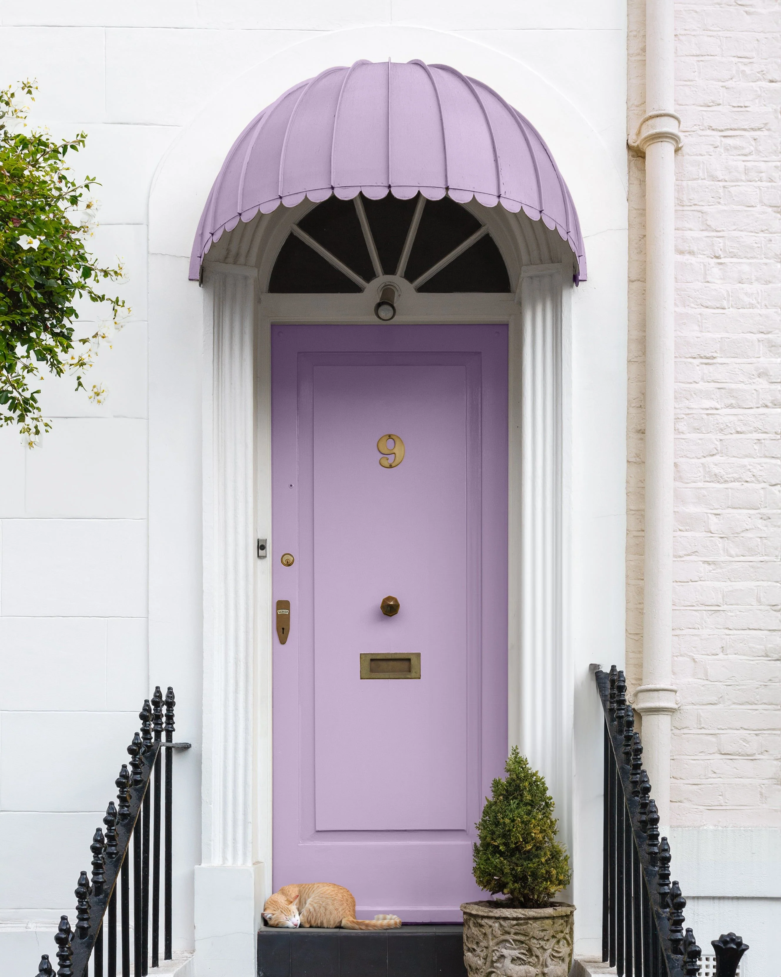 COTTAGE GARDEN™ EXTERIOR FRONT DOOR PAINT - Image 4