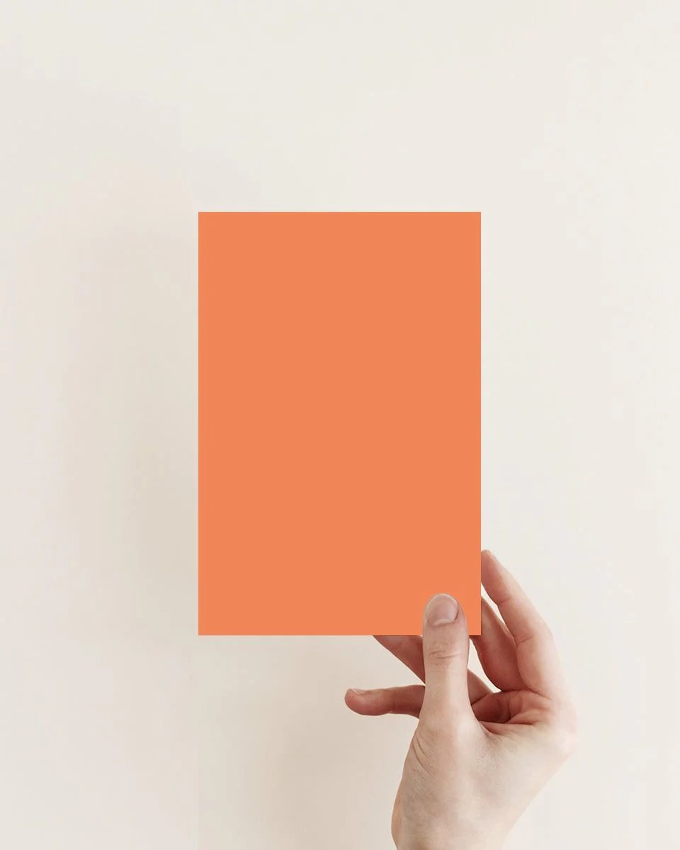 DOUBLE TAKE™ EXTERIOR MASONRY PAINT - Image 3