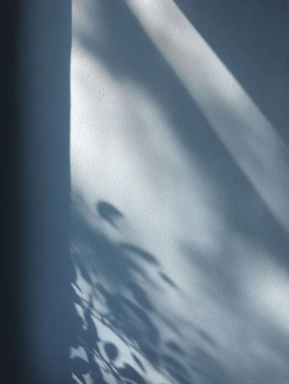 DRAPER'S FOLLY™ INTERIOR EMULSION PAINT - Image 8