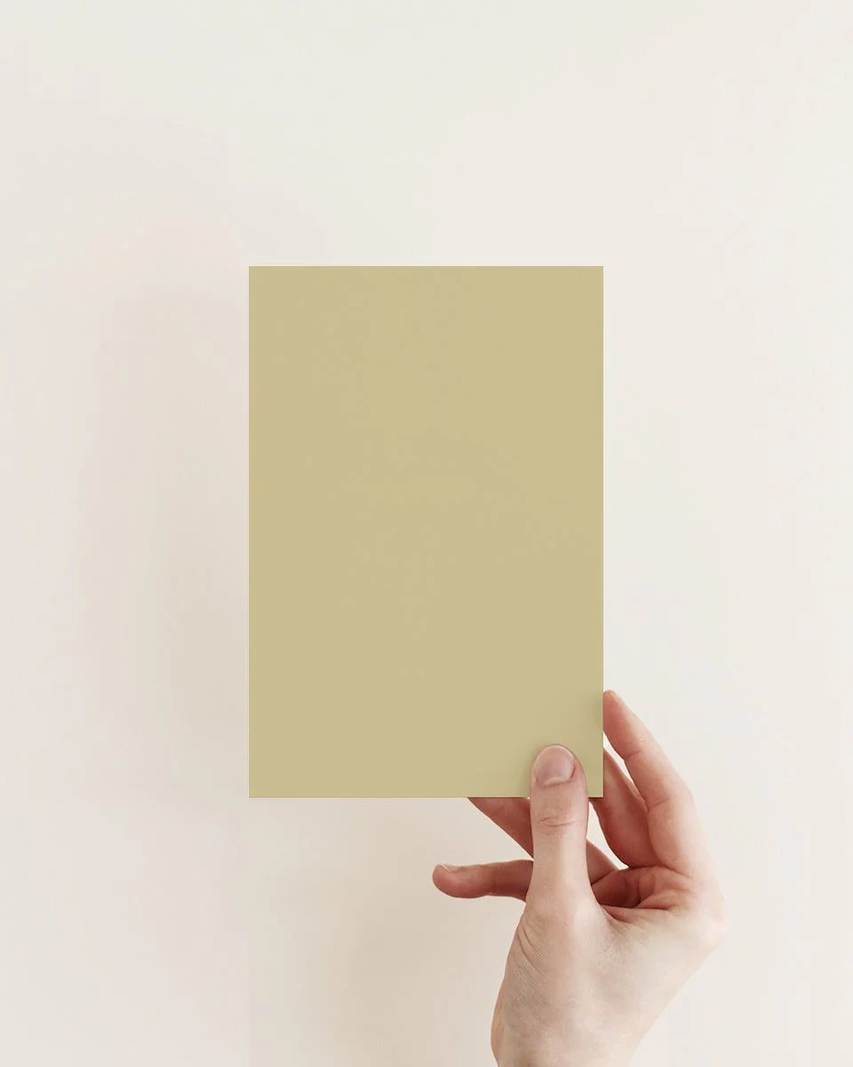 HIDDEN NEST™ EXTERIOR MASONRY PAINT - Image 3