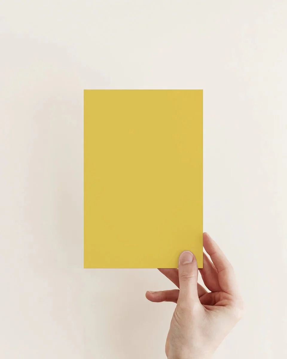 RAIN COAT™ EXTERIOR MASONRY PAINT - Image 2
