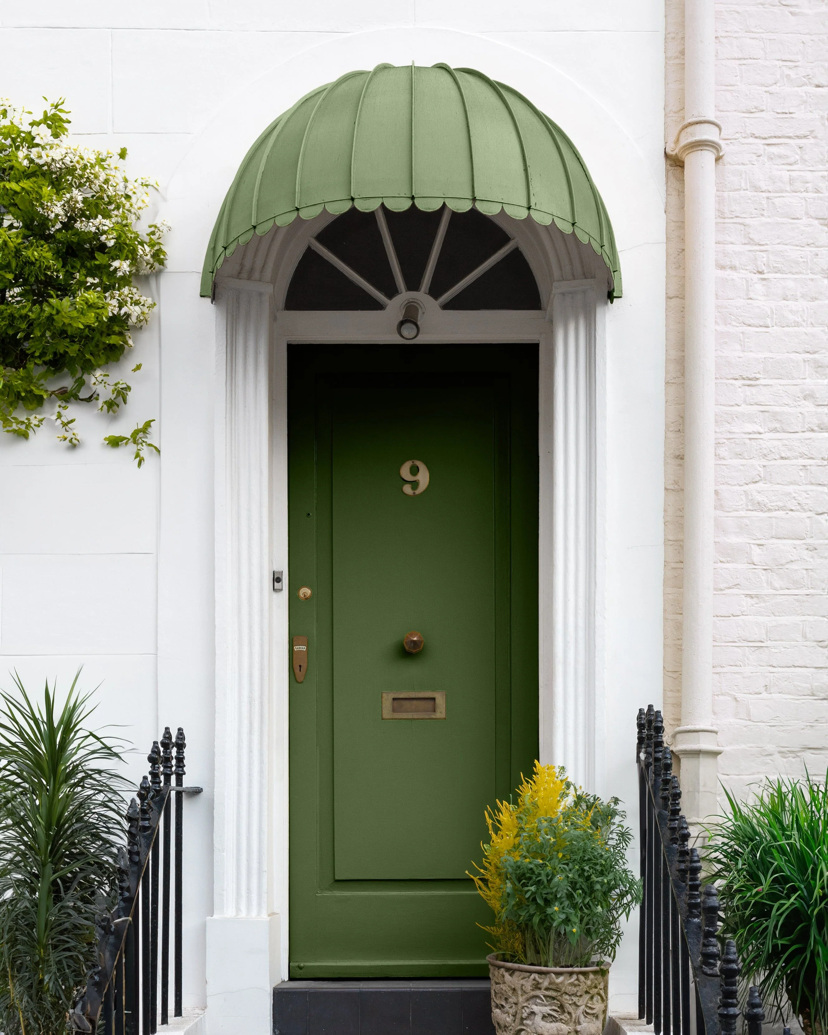 TERRARIUM™ EXTERIOR FRONT DOOR PAINT - Image 3