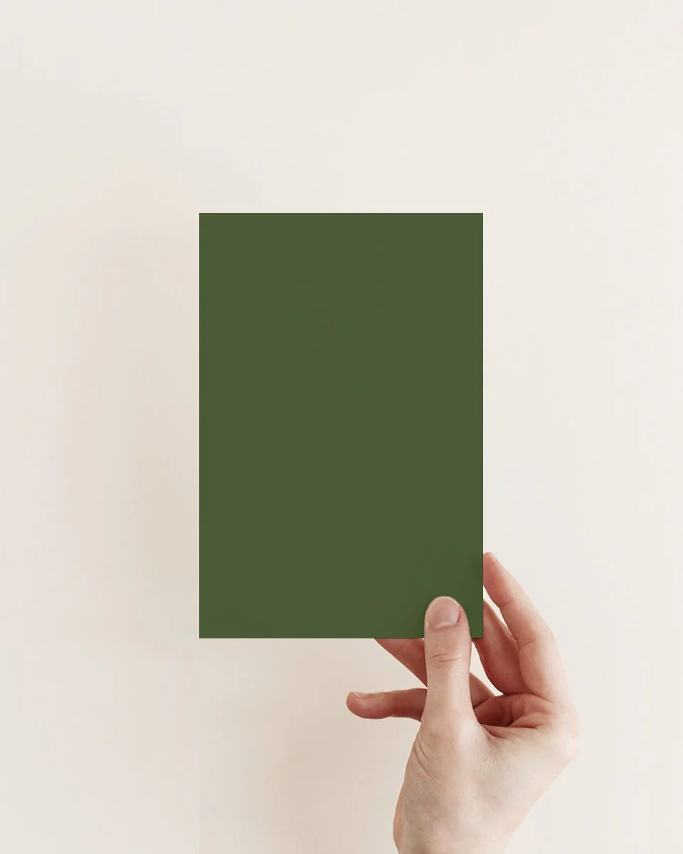 TERRARIUM™ EXTERIOR MASONRY PAINT - Image 2